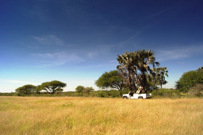 Dornhuegel Guestfarm Grootfontein Exterior foto