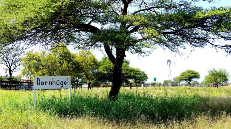 Dornhuegel Guestfarm Grootfontein Exterior foto