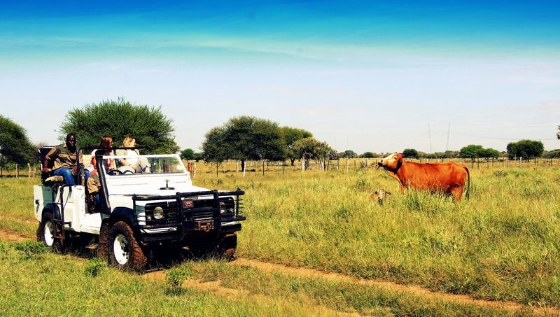 Dornhuegel Guestfarm Grootfontein Exterior foto